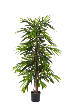 Longifolia artificial - Marvin | 210 cm