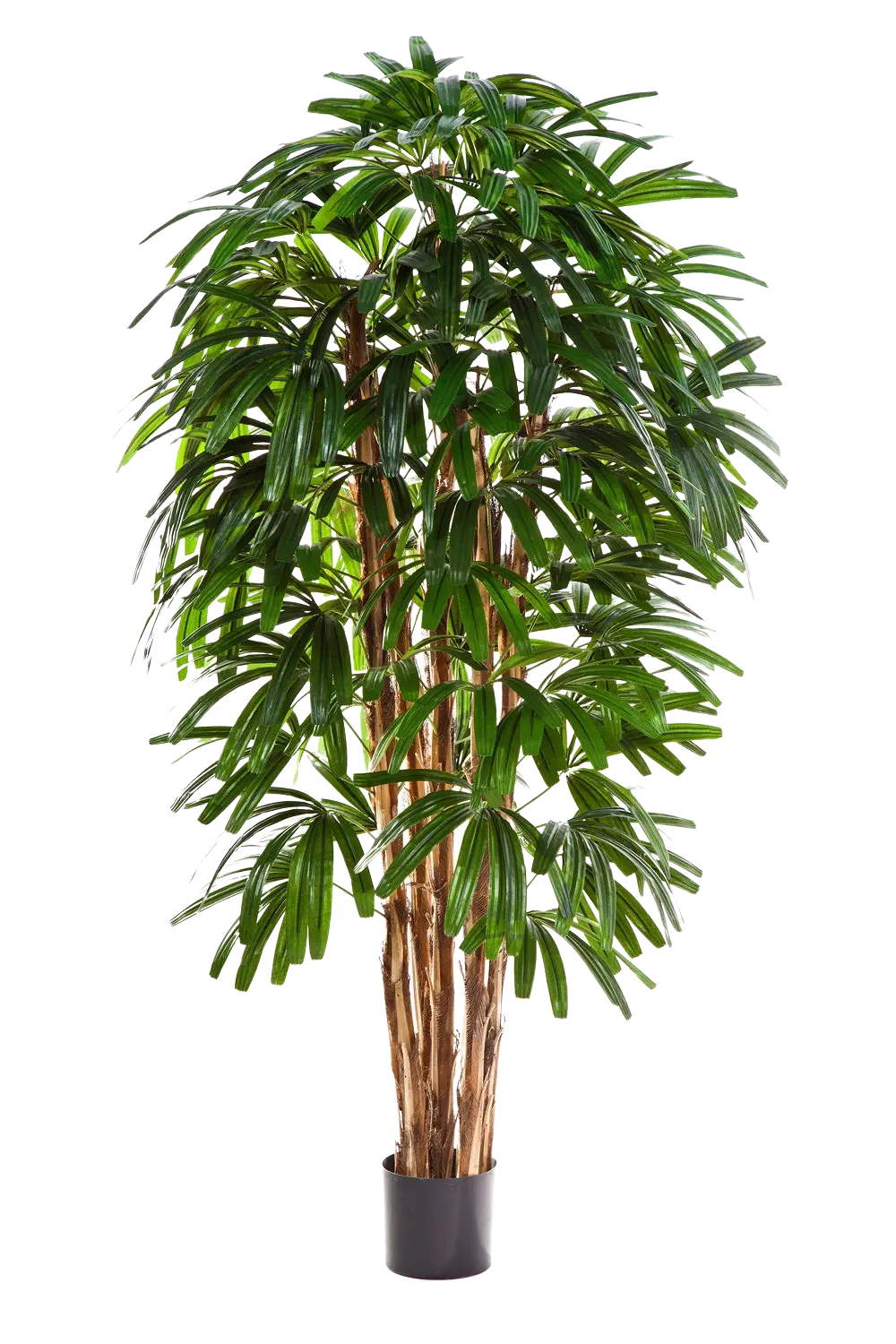 Palmeira artificial - Noemi | 210 cm