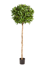 Künstlicher Lorbeer - Ronja, 140 cm, Kunstbaum von aplanta, in Natur, für drinnen