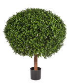 Hochwertiger Buchsbaum künstlich auf transparentem Hintergrund mit echt wirkenden Kunstblättern in natürlicher Anordnung. Künstlicher Buchsbaum - Rico hat die Farbe Natur und ist 120 cm hoch. | aplanta Kunstpflanzen