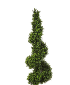 Hochwertiger Buchsbaum künstlich auf transparentem Hintergrund mit echt wirkenden Kunstblättern in natürlicher Anordnung. Künstliche Buchsbaum - Selina hat die Farbe Natur und ist 135 cm hoch. | aplanta Kunstpflanzen