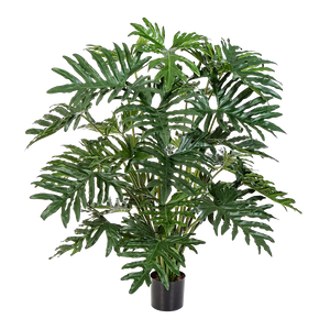 Künstlicher Philodendron - Thalia auf transparentem Hintergrund mit echt wirkenden Kunstblättern in natürlicher Anordnung. Künstlicher Philodendron - Thalia hat die Farbe Natur und ist 125 cm hoch. | aplanta Kunstpflanzen