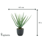 Aloé artificial - Penelope | 35 cm