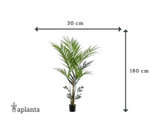 Palmeira Kentia artificial - Nathalie | 180 cm