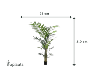 Palmeira Kentia artificial - Nathalie | 210 cm