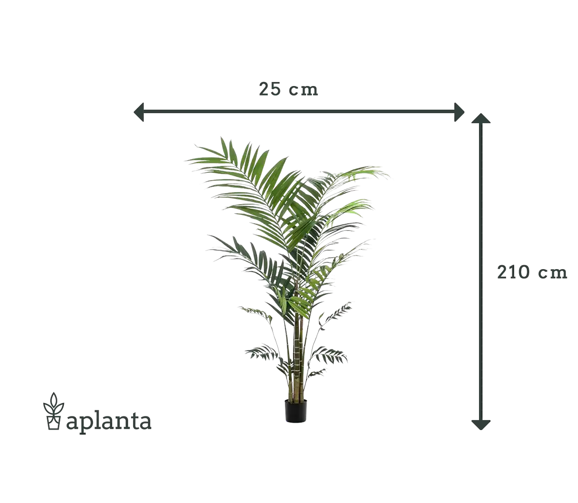 Palmeira Kentia artificial - Nathalie | 210 cm