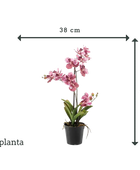 Orquídea artificial - Liam | 60 cm