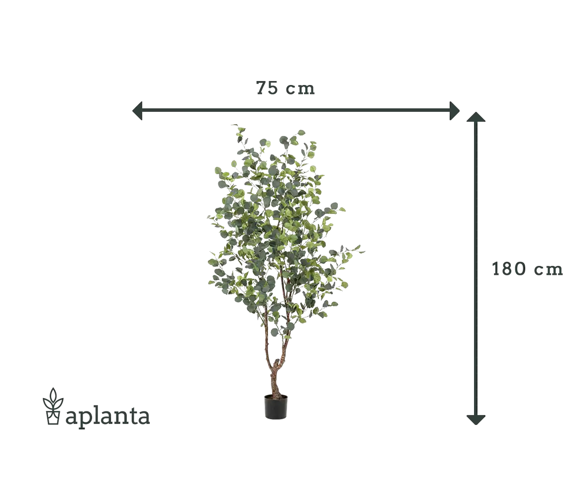Árvore de eucalipto artificial - Christopher | 180 cm