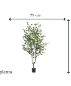Árvore de eucalipto artificial - Christopher | 180 cm