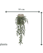 Eucalipto artificial suspenso - Richard | 75 cm