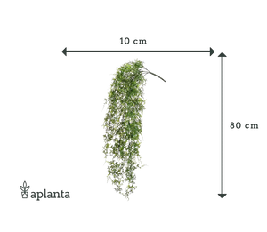Samambaia artificial suspensa - Katharina | 80 cm, planta em torrão