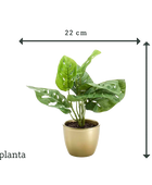 Arbusto artificial monstera - Lotte | 30 cm