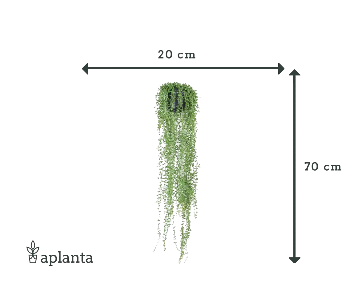 Planta artificial de ervilha - Karina | 70 cm