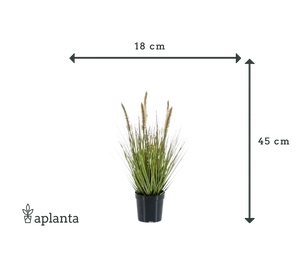 Lâmpada artificial limpa relva - Paulin | 45 cm