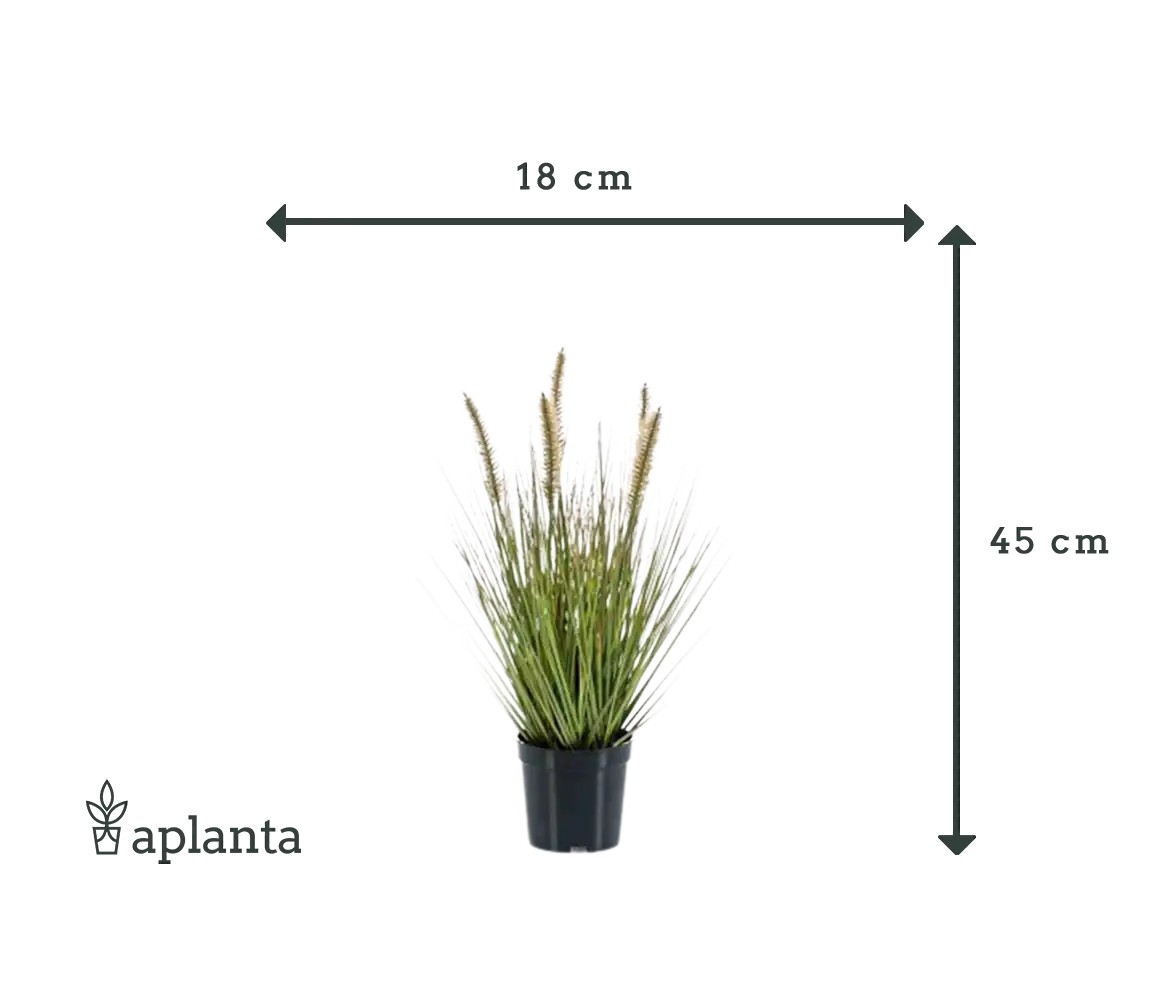 Lâmpada artificial limpa relva - Paulin | 45 cm