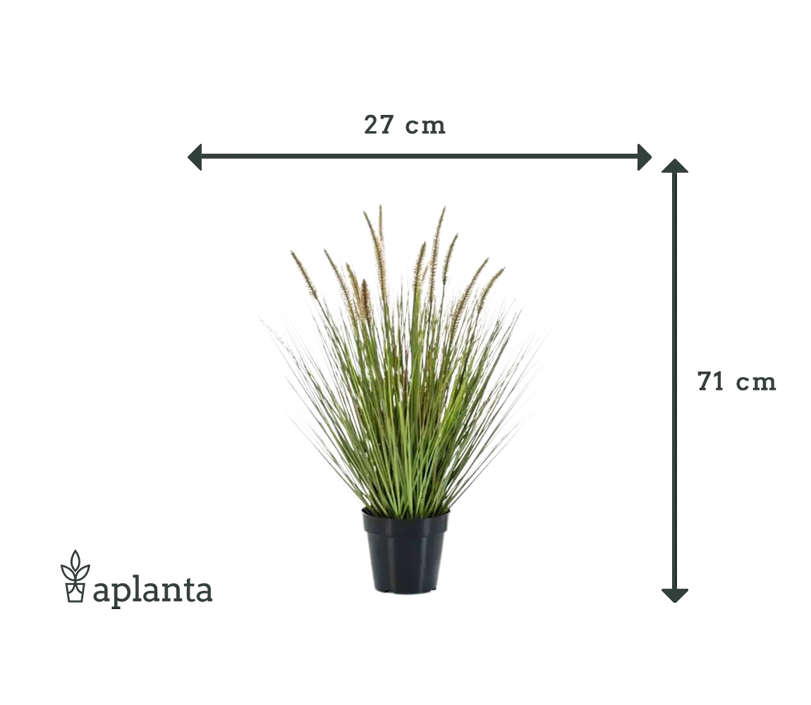 Candeeiro artificial limpa relva - Paulin | 71 cm