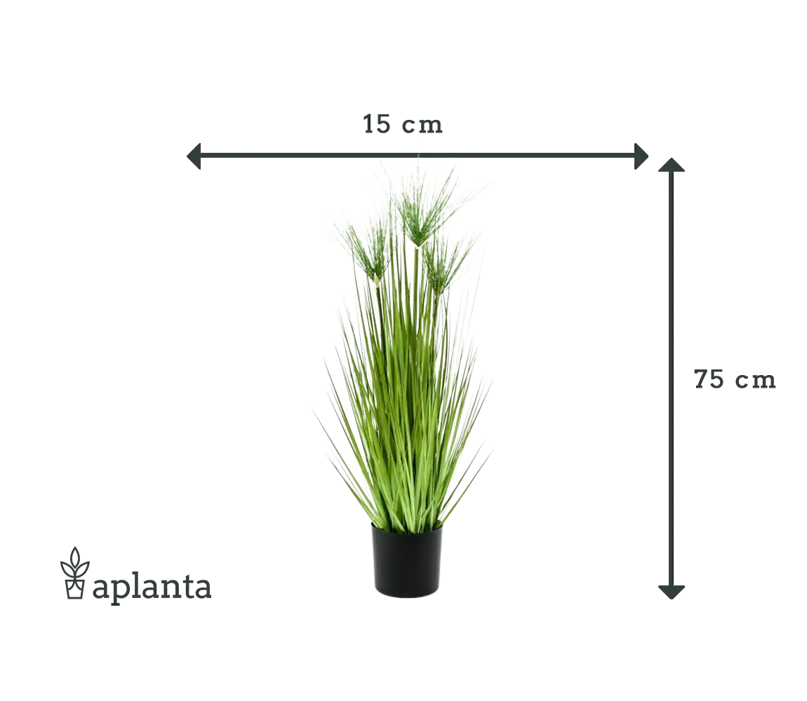 Relva artificial cyper - Kimberly | 75 cm
